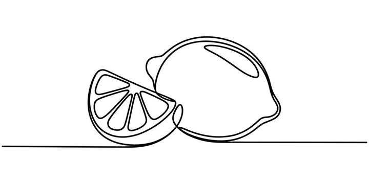 Continuous single line drawing of a fresh lemon fruit and a slice isolated on a white background Vector, illustration