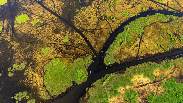 Aerial view of a small boat navigating through dark water channels in a lush marshland with vibrant green vegetation in Salatiga, Central Java, Indonesia.