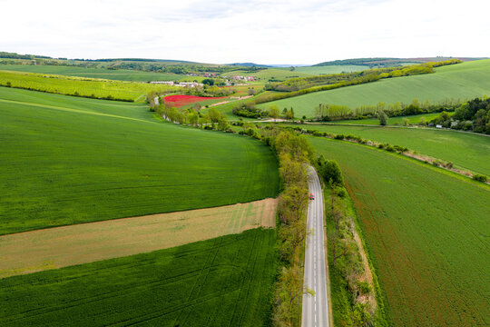 Aerial view of rolling green agricultural fields and a winding road lined with trees in the countryside of Cejkovice, South Moravian Region, Czechia.
