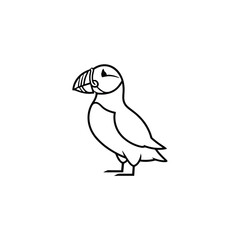 Fototapeta premium Atlantic puffin line art illustration featuring a detailed side profile view of a sea parrot with a striped beak.