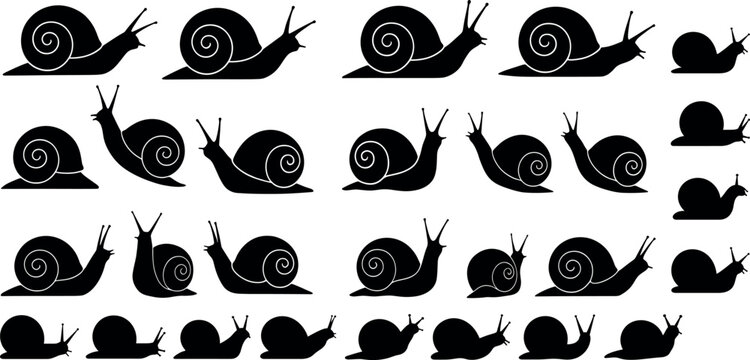 Large Collection of Garden Snail Vector Silhouettes Featuring Various Poses and Sizes Isolated Against White Background for Graphic Design