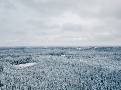 Aerial view of a vast, snow-covered forest stretching towards the horizon under a cloudy winter sky in Latvia.
