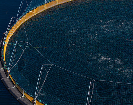Aerial view of a large circular salmon farm net pen floating in the deep blue waters of a fjord in Liabygda, More og Romsdal, Norway.