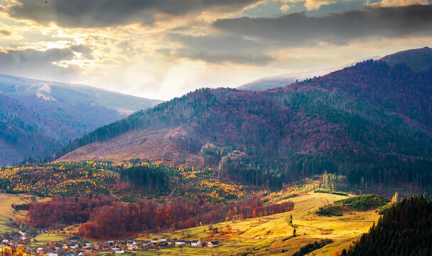 mountain landscape with forest in fall colors. sunny day in autumn. view of nature background of ukraine with valley in dappled light. transcarpathia alpine countryside