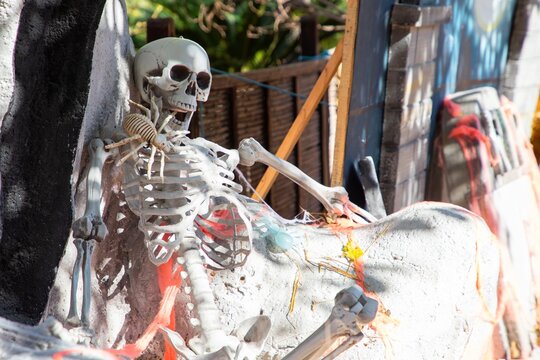 Benidorm, Spain - October 26, 2024: Halloween in Terra Natura Zoo. Skeleton decoration with cobwebs and colorful Halloween props in outdoor setting, surrounded by foliage and wooden fence