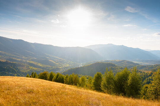 mountain meadow in evening light. countryside autumn landscape with valley behind the forest in yellowish foliage on the grassy hill. fluffy clouds on a bright blue sky