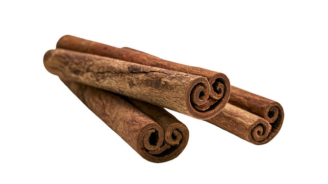 Isolated several cinnamon sticks with textured bark, curled spice for cooking and baking