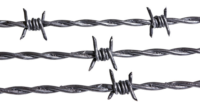 Isolated three strands of weathered metal barbed wire fence, security barrier with sharp barbs.