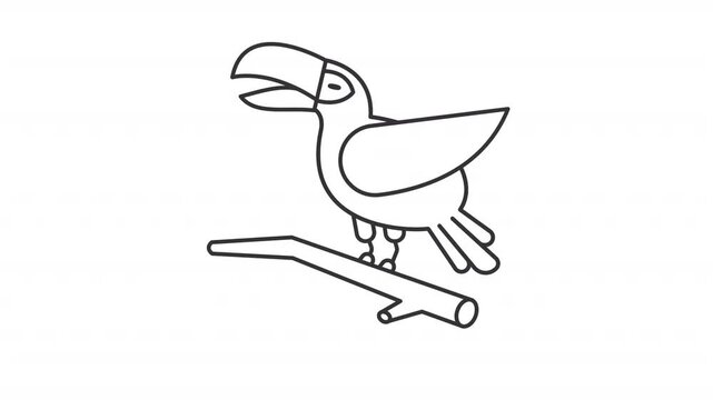 Animated toucan opening beak outline icon. Tropical forest fauna animation. Colorful exotic bird sitting on tree branch. Wildlife beauty. Flat line motion graphic loop on transparent white