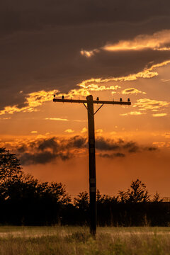 Old powerline pole framed against a stormy sunset