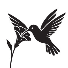 Obraz premium Black Hummingbird sucking flower nectar Silhouette Vector, High Quality Illustration on White Background