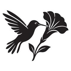 Fototapeta premium Black Hummingbird sucking flower nectar Silhouette Vector, High Quality Illustration on White Background
