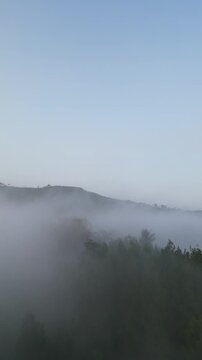 Aerial drone footage of morning fog rolling over hills and treetops in tropical highland