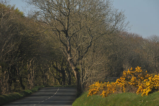 Stra&szlig;e auf der Isle of Man
