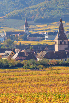 Ammerschwihr et Kientzheim, villages d'Alsace en automne	