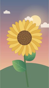Tournesol dor&eacute; oscillant doucement dans la lumi&egrave;re chaude du soir