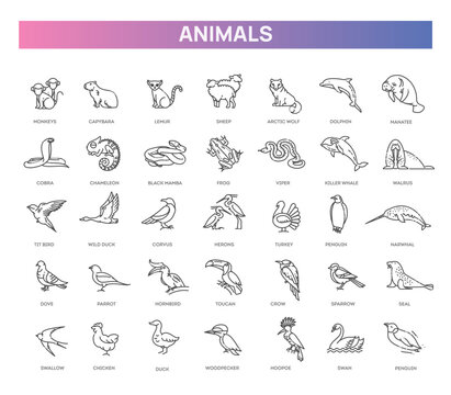 Animal icons. Vector icon set