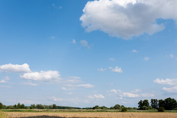 Pojedyncze chmury w krajobrazie wiejskim pośrodku samotnego pola, pora letnia Opolszczyzna, błękitne barwy © mbugajsky