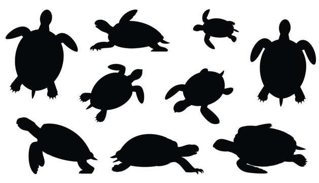 Black silhouettes of different turtles crawling and swimming in various poses isolated on a white background