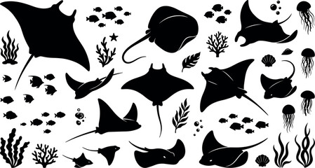 Obraz premium Stingray and manta ray silhouette vector set with tropical fish jellyfish seaweed and ocean floor coral elements,
