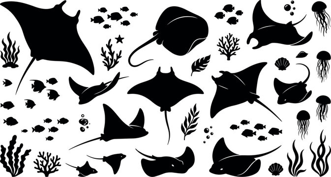 Stingray and manta ray silhouette vector set with tropical fish jellyfish seaweed and ocean floor coral elements,
