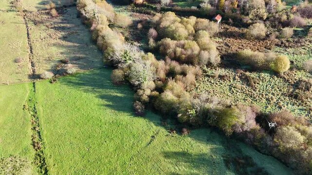 Green Fields and Riverside Trees Aerial