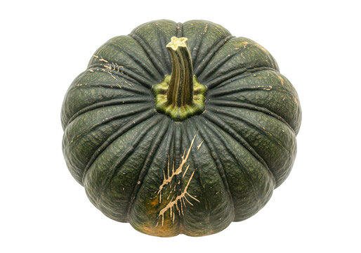Ripe green pumpkin isolated on transparent background