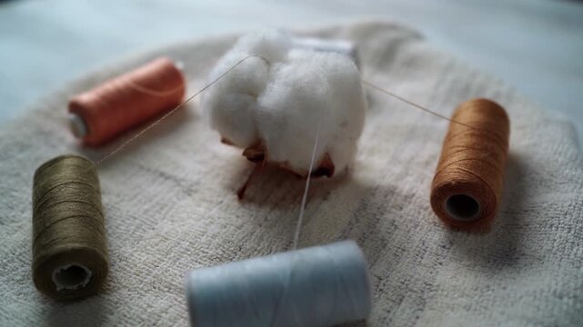 A cotton boll on a rotating table. Threads are emerging from the cotton boll.