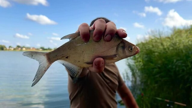 A man holding a freshly caught fish above the water surface, showcasing the catch with a backdrop of lush greenery and a clear blue sky