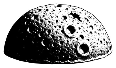 Moon Surface Hemisphere with Impact Craters Vintage Astronomy Engraving Vector Illustration © Luka