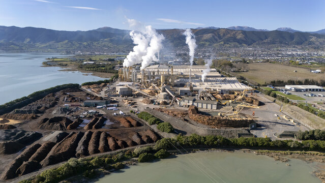 Richmond, New Zealand - 11 September 2026: Aerial view of the Nelson Pine factory with industrial buildings, steam rising from chimneys, and large piles of wood chips near the water.