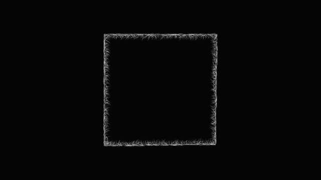 Sketch Wallace outline map animation - smooth progressive reveal