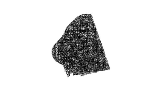 Sketch Ballard outline map animation - smooth progressive reveal