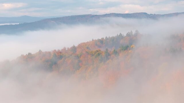 AERIAL: Layers of wooded hills fade into pale morning mist, while warm autumn colours glow through the haze. Dreamlike view of distant ridges rolling across the Dolenjska countryside in fall season.