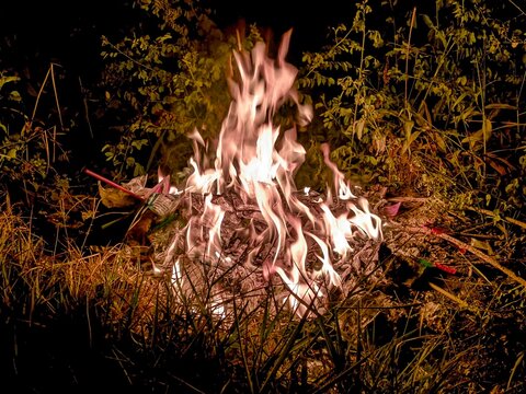 fire in the forest