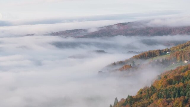 AERIAL: Rolling autumn hills rise through bands of morning mist, with small clearings and scattered countryside homes appearing between the trees. Colourful and misty rural landscape of in fall season