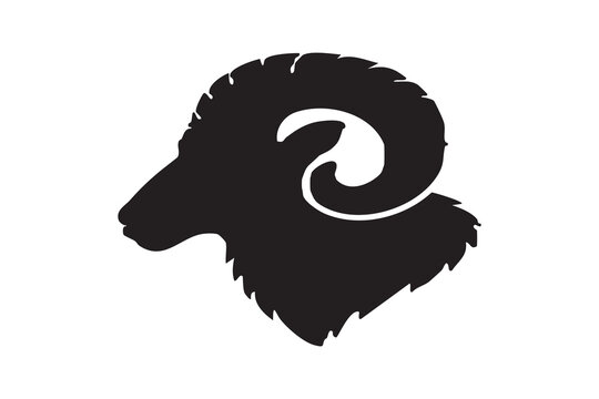 Black ram head silhouette icons set with curled horns