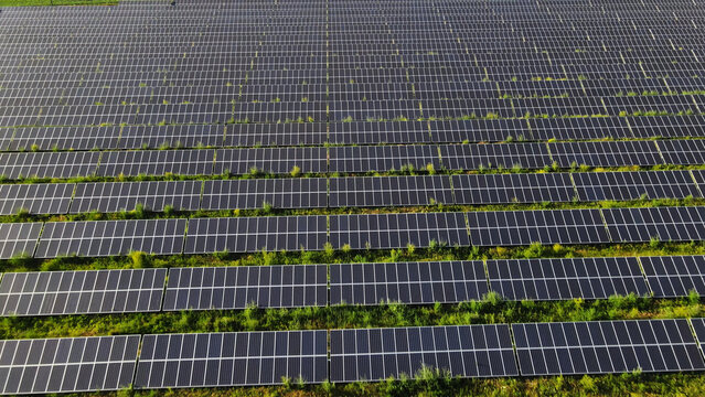 Solar farm generating clean renewable energy, photovoltaic panels creating sustainable electricity on green field