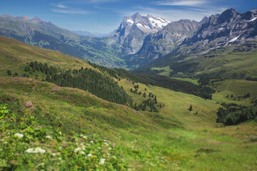 Fototapeta premium Scenic overview of a lush green Alpine valley with distant mountain peaks