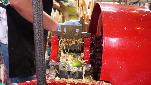 Close-up shot of crushed sugarcane fiber and lime being processed through a red mechanical extractor