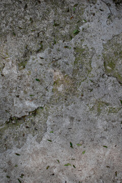 Imagen vertical de una pared gris con moho verde 