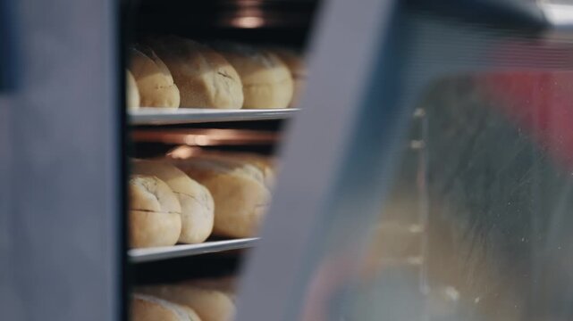 Freshly baked bread buns cooling in a commercial oven at the bakery