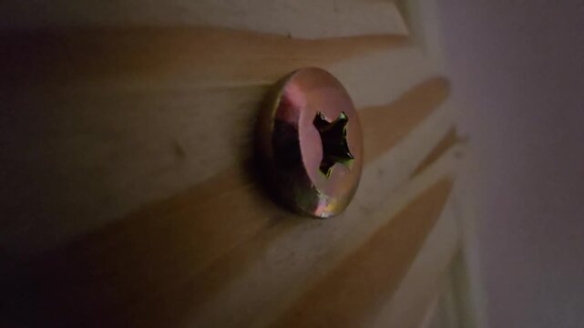 Super macro close-up of a metallic Phillips head screw embedded in pine wood surface.