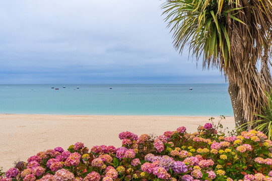 Coastal view of Porthminster Beach with blooming flowers and turquoise sea in St Ives, Cornwall. 