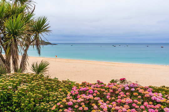 ​Coastal view of Porthminster Beach with blooming flowers and turquoise sea in St Ives, Cornwall. 