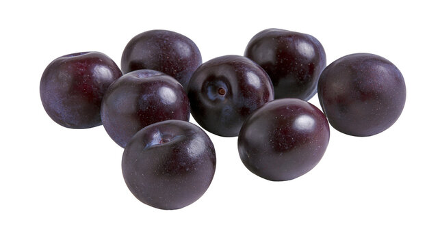 Isolated fresh ripe dark purple plums fruit healthy organic natural sweet dessert