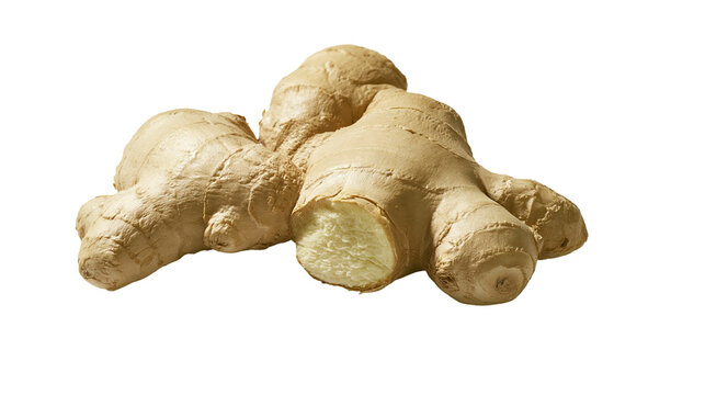 Isolated fresh organic ginger root with a cut piece revealing its aromatic, healthy interior.