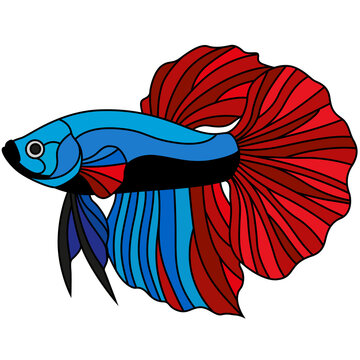 Red and blue male betta fish stained glass pattern vector illustration, Siamese fighting fish tiffany vitrage style design isolated on white background for craft and mosaic