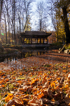 Pagoda bower during autumn next to a lake with carpet of orange leaves 