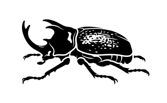 Beetle vector silhouette illustration of a horned insect graphic design